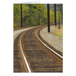 Cartão DSCF6914, ~in seu words~