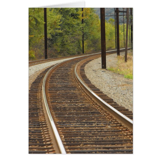 Cartão DSCF6914, ~in seu words~ (Frente)