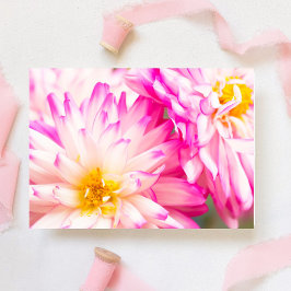 Cartão Duas Dahlia Brancas e Rosas Nota em Branco