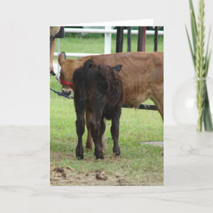 Cartão Duas Entradas de Apresentação de Carne