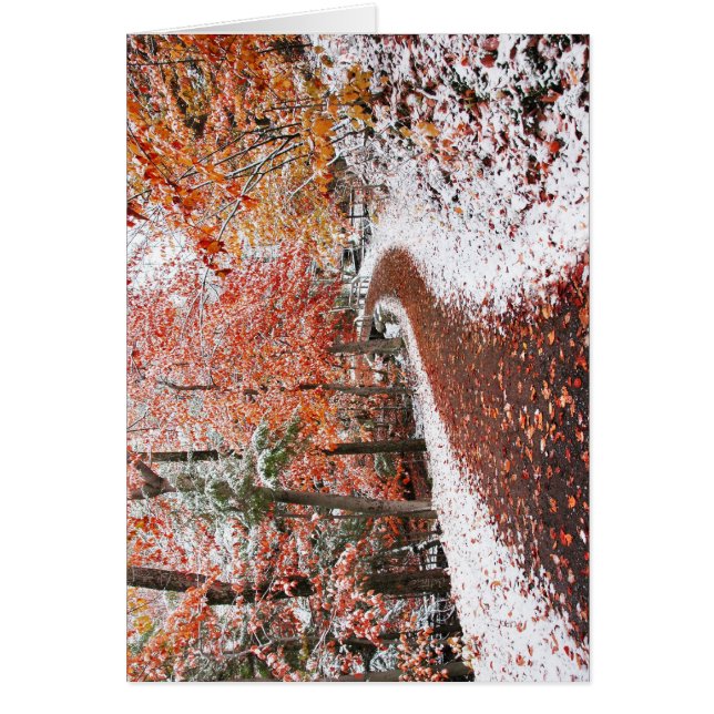 Cartão Duas Estações (Frente)