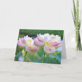 Cartão Duas lindas flores de lótus