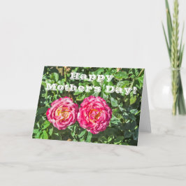 Cartão Duas Rosas Rosa Escuras com Folhas Verdes Escuras