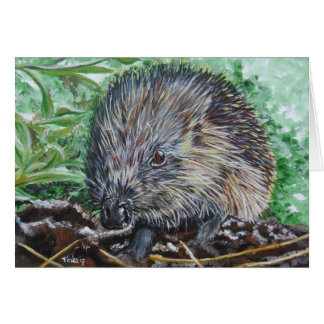 Cartão Dubbele kaart Egel.