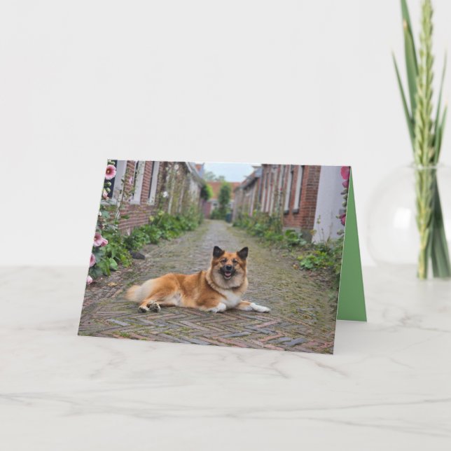 Cartão Dubbele wenskaart (Frente)