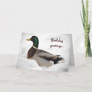 Cartão Duck in Snow Birthday