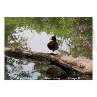 Cartão Duck Loafing