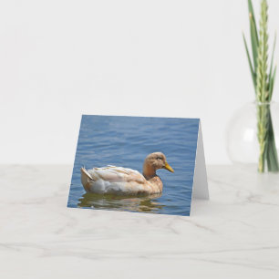 Cartão Duck Notecard