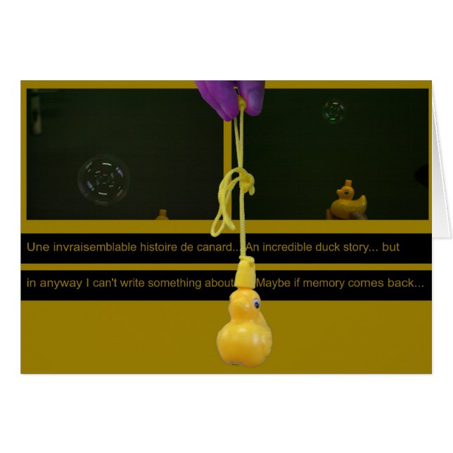 Cartão Duck Story ou historial invasível (Frente Horizontal)