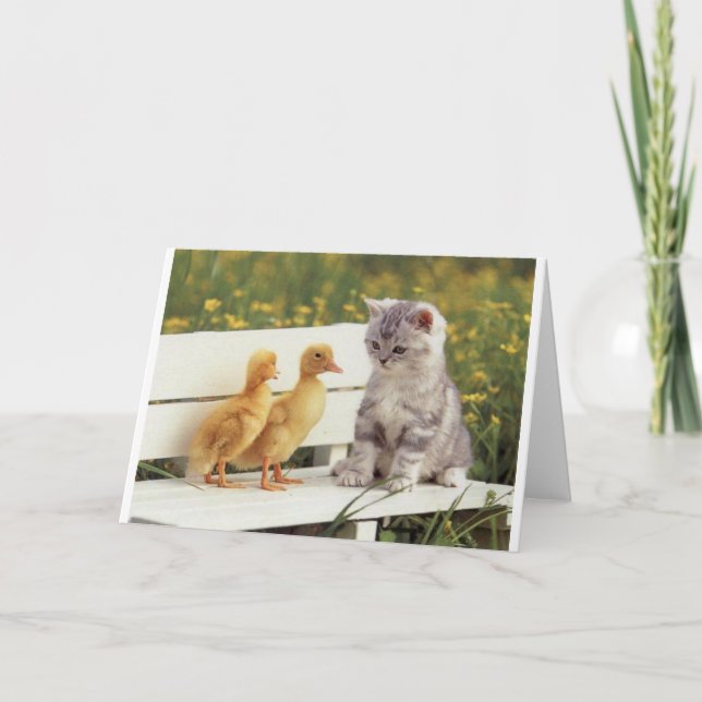 Cartão Duckheap e amigo entrevistam gatinho. (Frente)