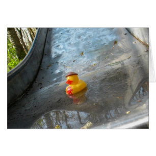 Cartão Ducky Slide
