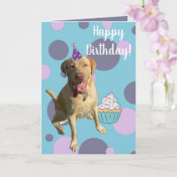 Dudley Labrador Birthday