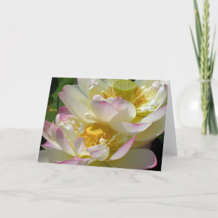 Cartão Dueto Flor de Lótus