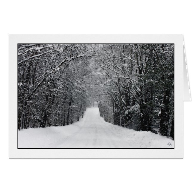 Cartão Dumprun Snowstorm (Frente Horizontal)