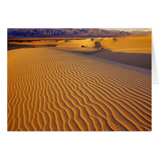 Cartão Dunas de areia Mesquite Flat em Death Valley (Frente Horizontal)