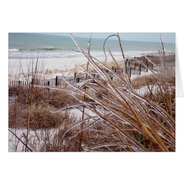 Cartão Dune-sicle (Frente Horizontal)