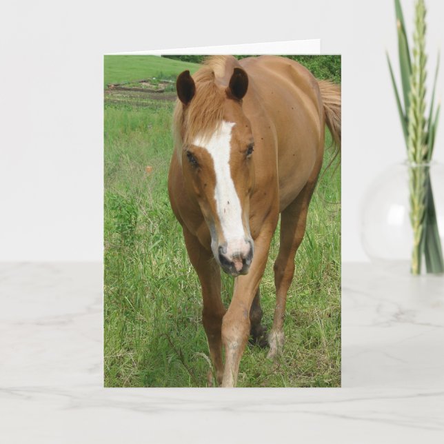 Cartão Dunnit (Frente)