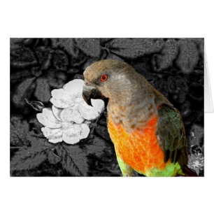 Cartão Duque de Dukie