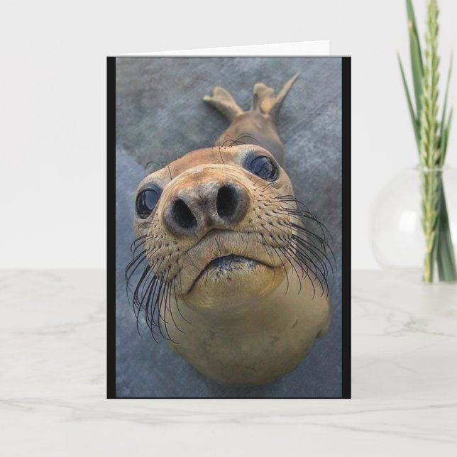 CARTÃO "DURO DE VOCÊ SAIR** (Frente)