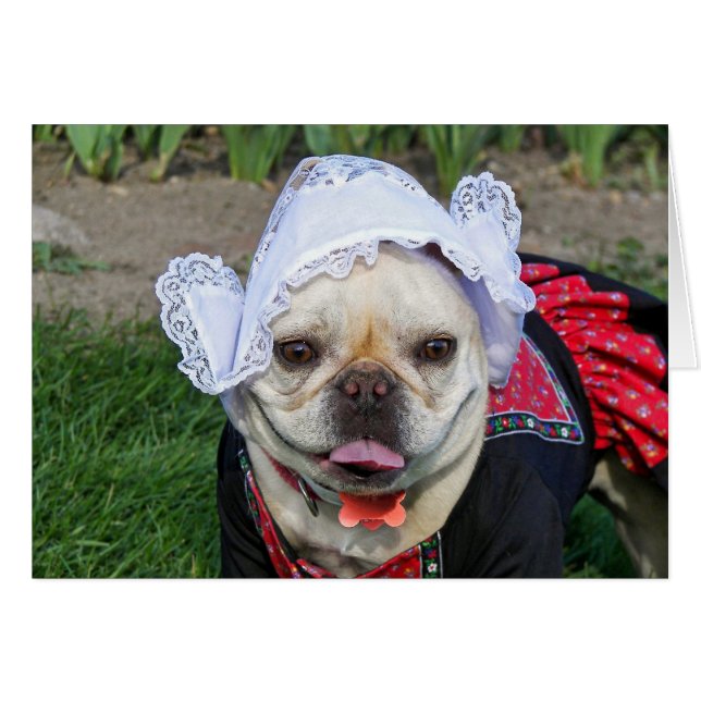 Cartão Dutch Pooch (Frente Horizontal)