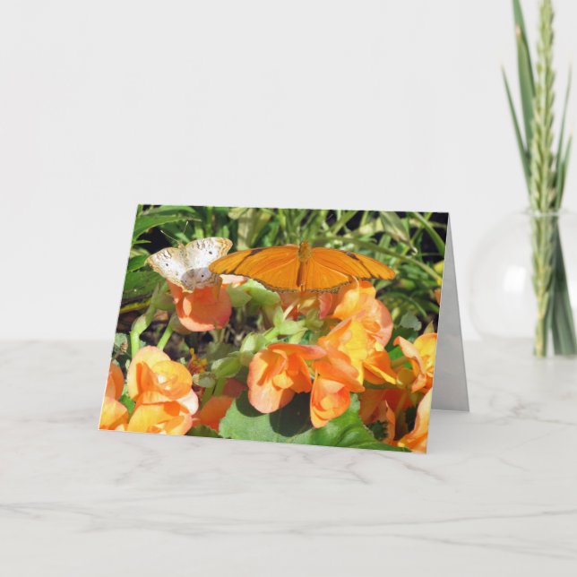 Cartão Dyas Julia e White Peacock Butterflies Saudação (Frente)