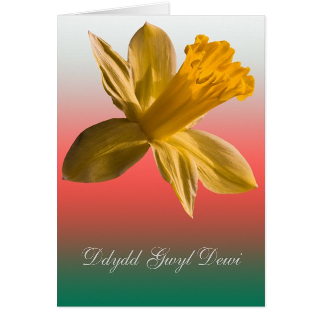Cartão Dydd Gwyl Dewi Sant card_vertical (Frente)