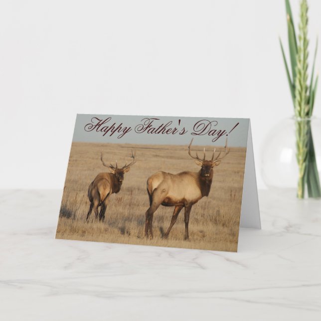 Cartão E1 Touro Elk (Frente)