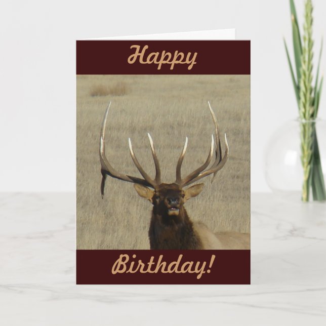 Cartão E29 Cabeça de Touro (Frente)