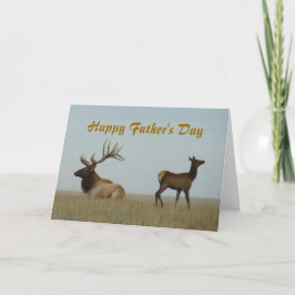 Cartão E5 Bull Elk e Yearling