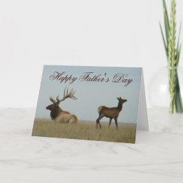 Cartão E5 Bull Elk e Yearling