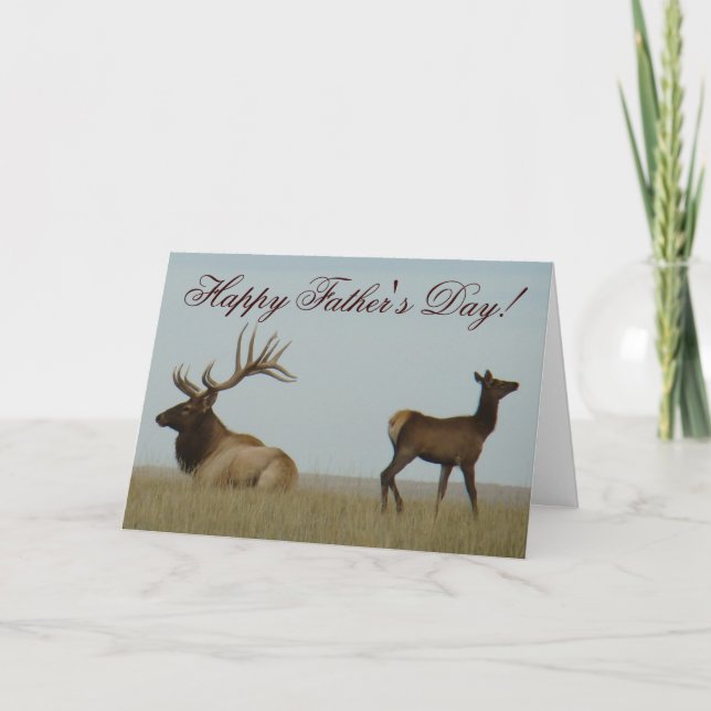 Cartão E5 Bull Elk e Yearling (Frente)