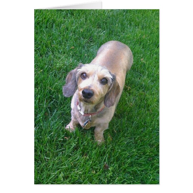 Cartão E aí? (Frente)