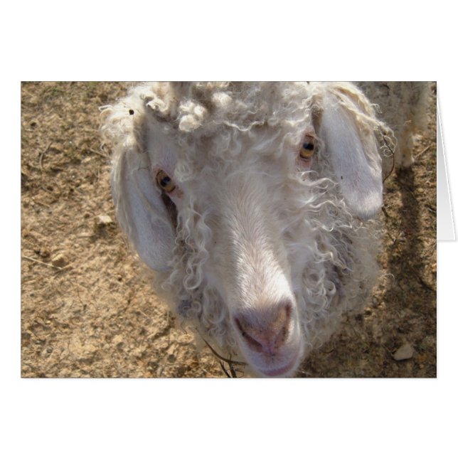 Cartão E aí? (Frente Horizontal)