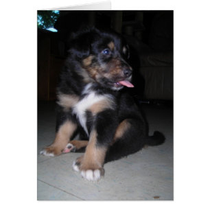 Cartão E Aí! Framboesa