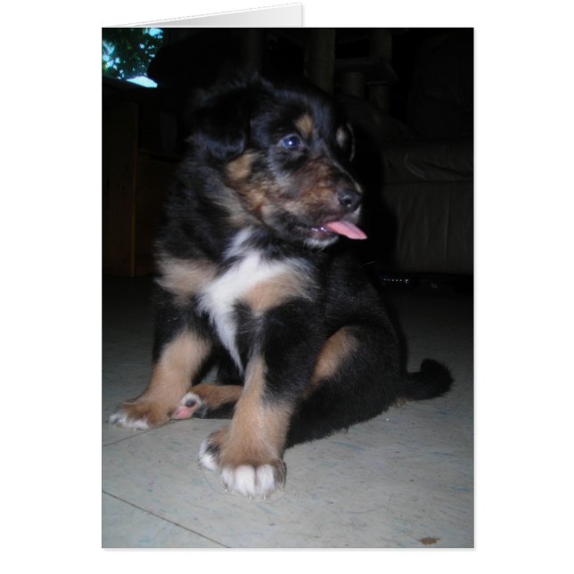 Cartão E Aí! Framboesa (Frente)