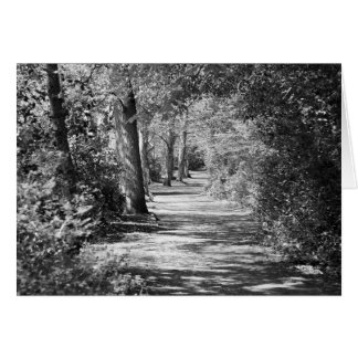 Cartão E o caminho passa por ele