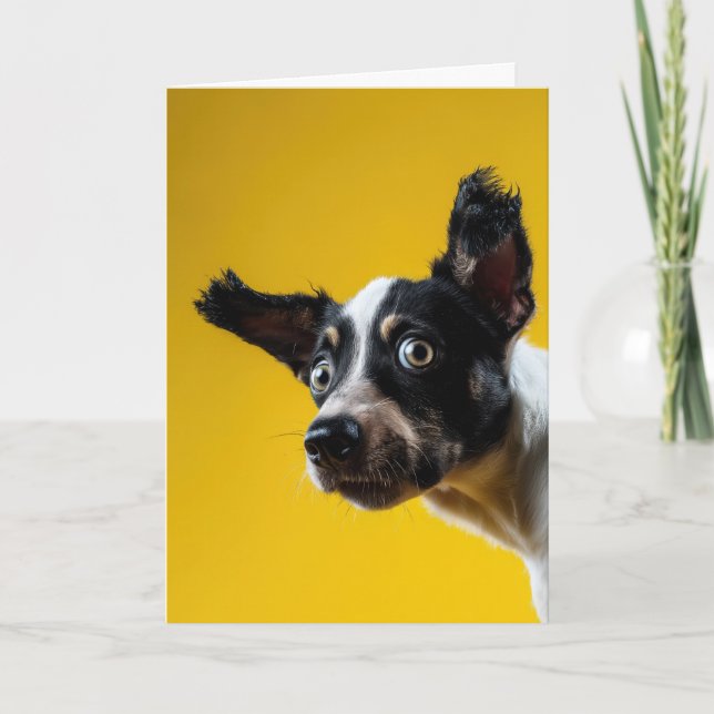 Cartão "É o cão" Aniversário (Frente)