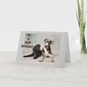 CARTÃO É O "NOSSO" DIA DE ANIVERSÁRIO!