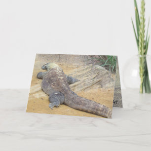 Cartão É o seu aniversário - Ande pelo lado selvagem