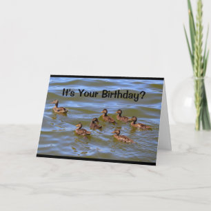 Cartão É o seu aniversário? Bem, isso é só Ducky!