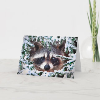 Cartão "É seguro sair? "