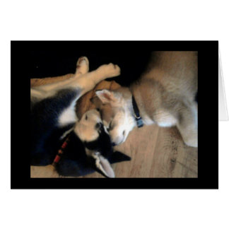 Cartão É uma vida dos cães