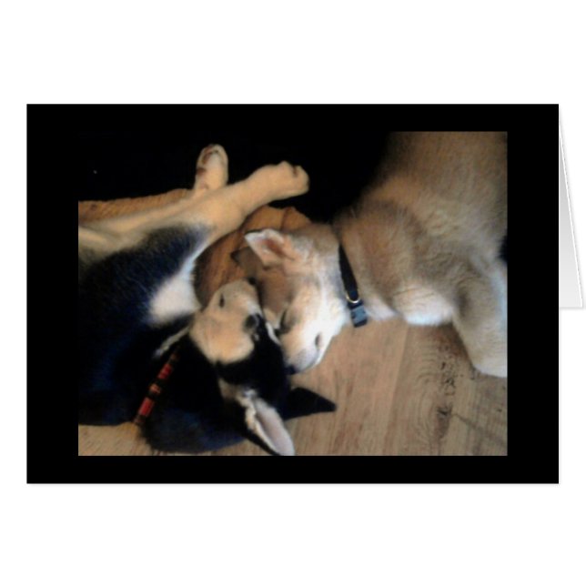 Cartão É uma vida dos cães (Frente horizontal)