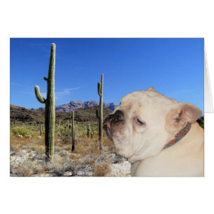 Cartão É você sério?