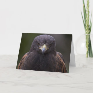 Cartão Eagle dourado