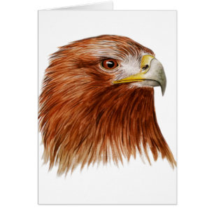 Cartão Eagle dourado 2011