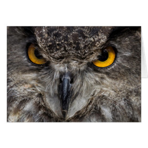Cartão Eagle Owl