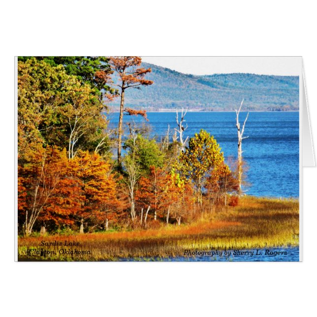 Cartão ~Eagles em Sardis Lake~ (Frente Horizontal)