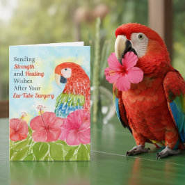 Cartão Ear Tube Surgery Healing Scarlet Macaws, Hibiscus