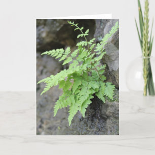 Cartão Early Primavera Fern